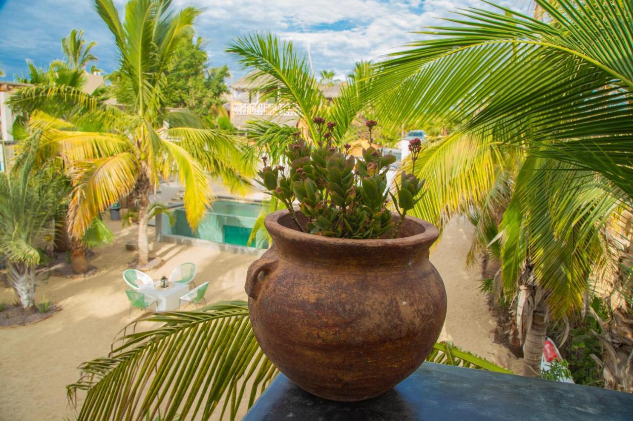 Pure Baja Private Suites-Upscale Property With Infinity Pool And Lush Gardens El Pescadero  Екстериор снимка